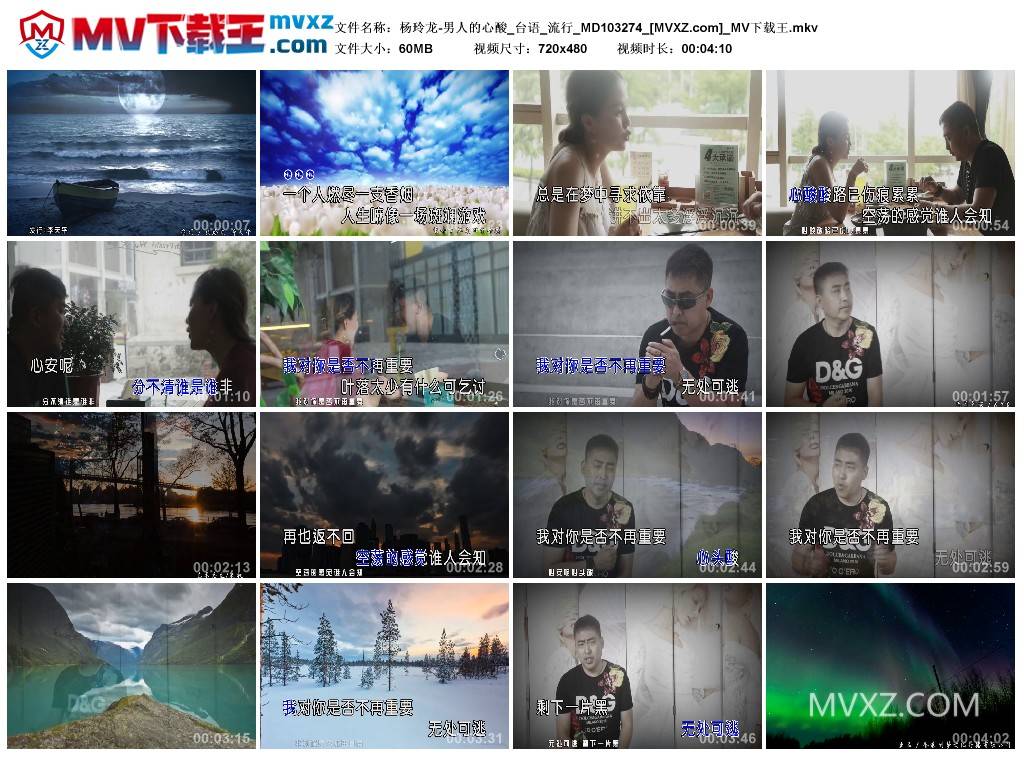 杨玲龙-男人的心酸_台语_流行_MD103274